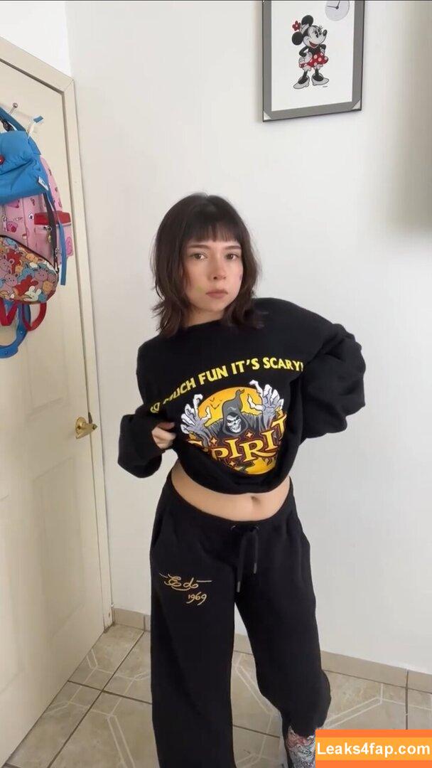 ale.zrm / ale.crm leaked photo photo #0069