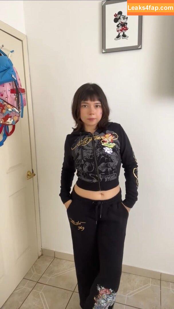 ale.zrm / ale.crm leaked photo photo #0070