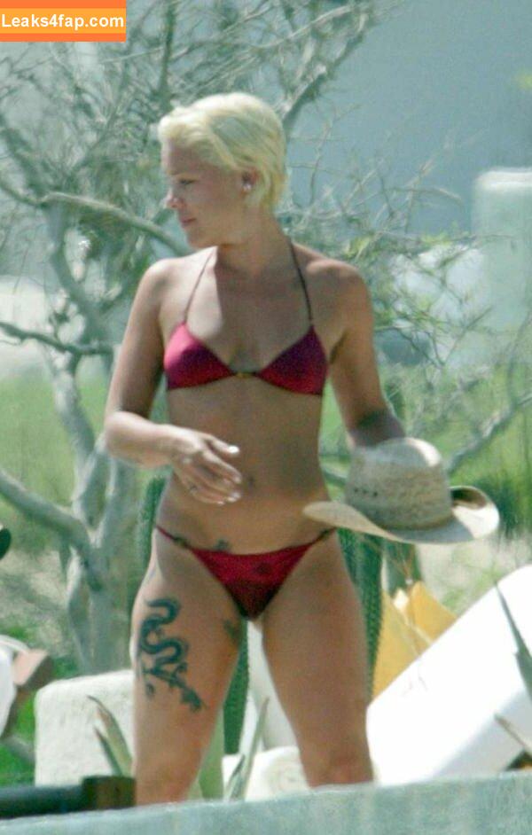 Alecia Beth Moore / Pink / The Singer leaked photo photo #0008