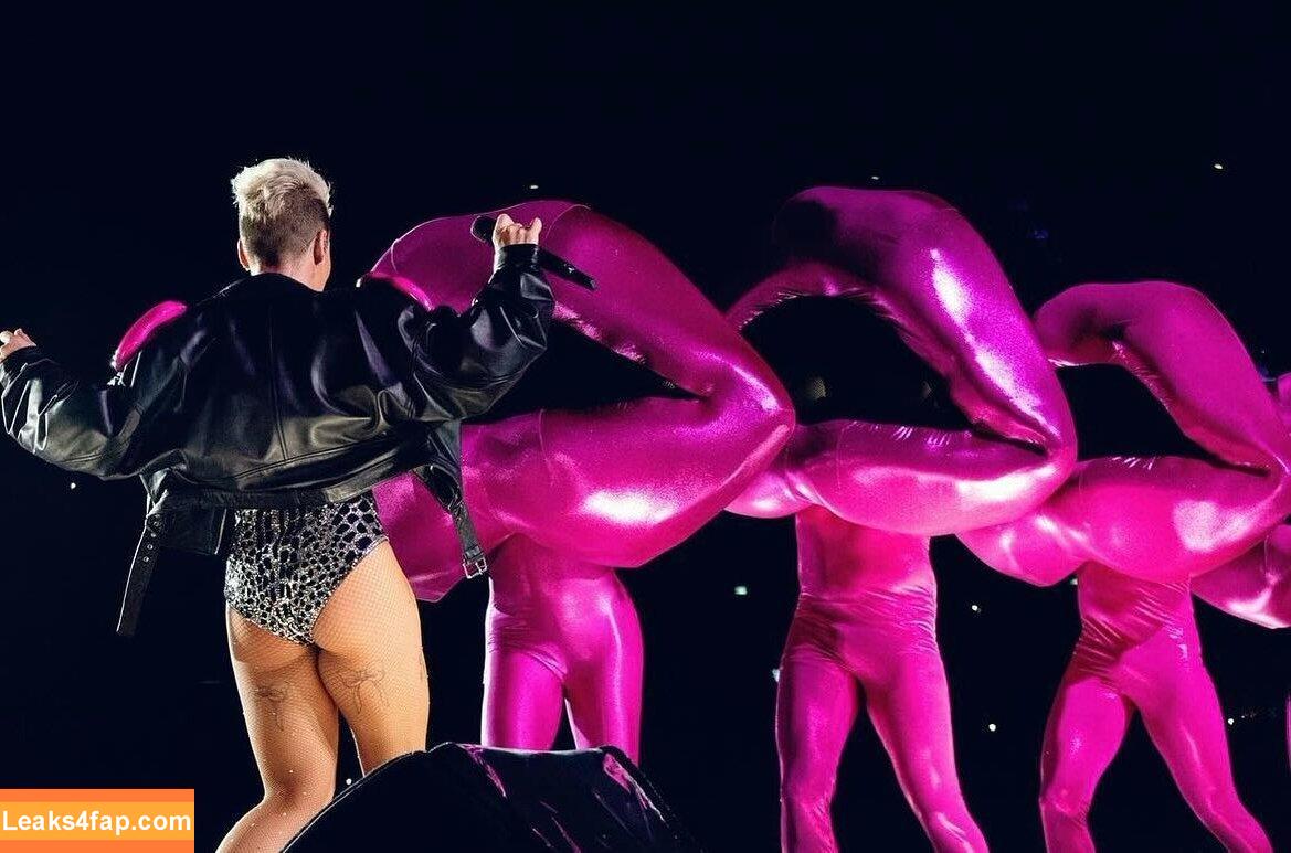 Alecia Beth Moore / Pink / The Singer leaked photo photo #0022