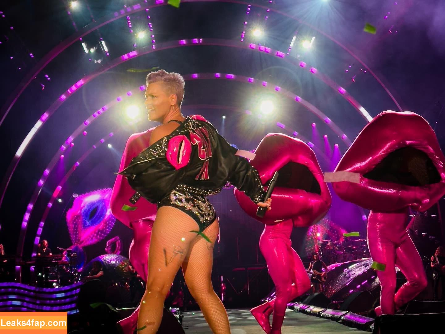 Alecia Beth Moore / Pink / The Singer leaked photo photo #0027