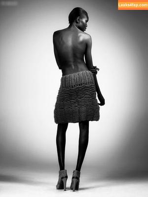 Alek Wek photo #0020