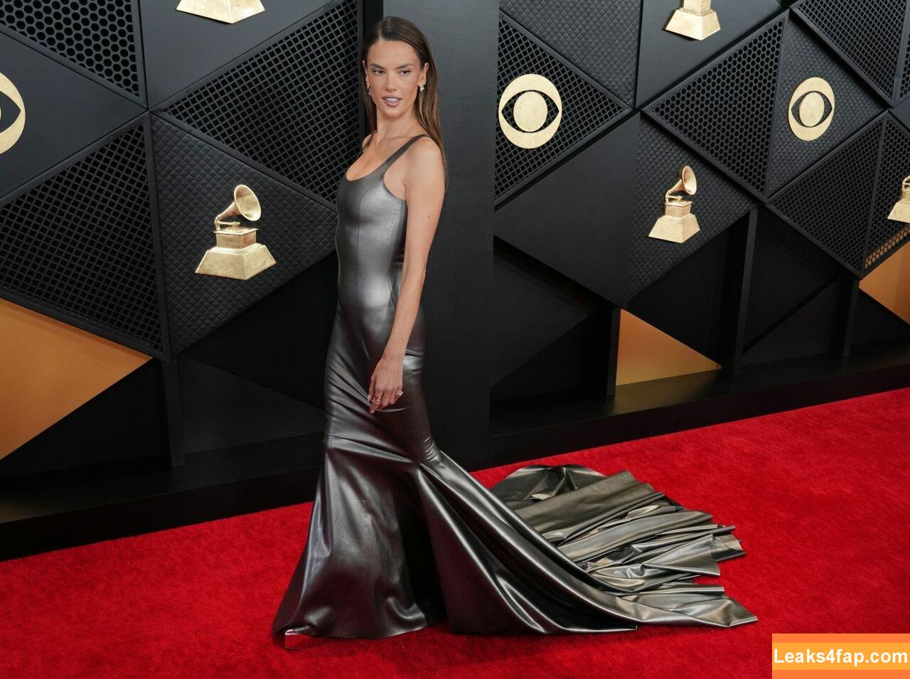 Alessandra Ambrosio / aleambrosio / alelovesanja / alessandraambrosio leaked photo photo #0667