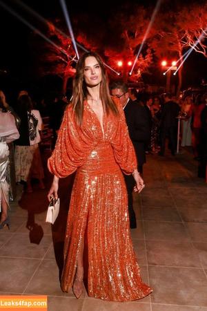 Alessandra Ambrosio photo #0395