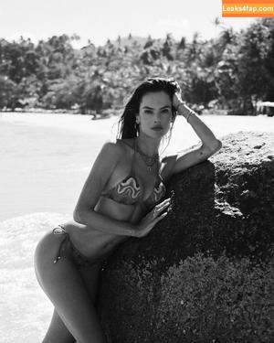 Alessandra Ambrosio photo #0679
