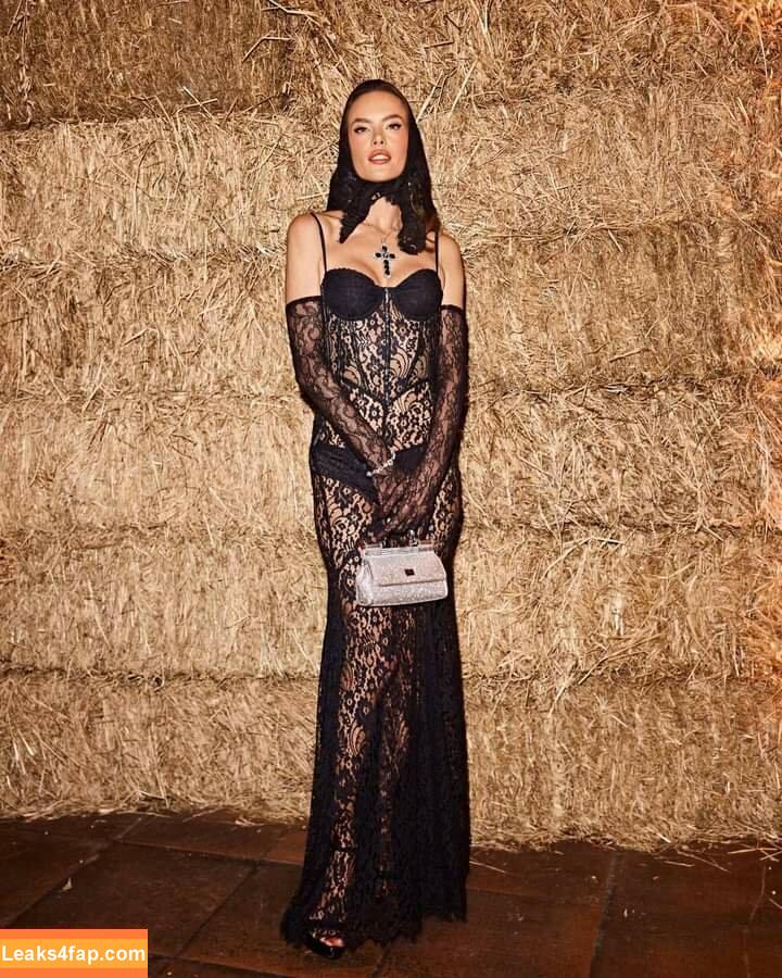 Alessandra Ambrosio / aleambrosio / alelovesanja / alessandraambrosio leaked photo photo #1444