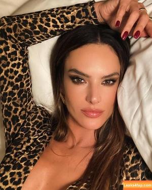 Alessandra Ambrosio photo #1840