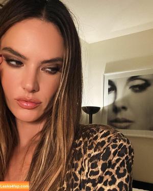 Alessandra Ambrosio photo #1845