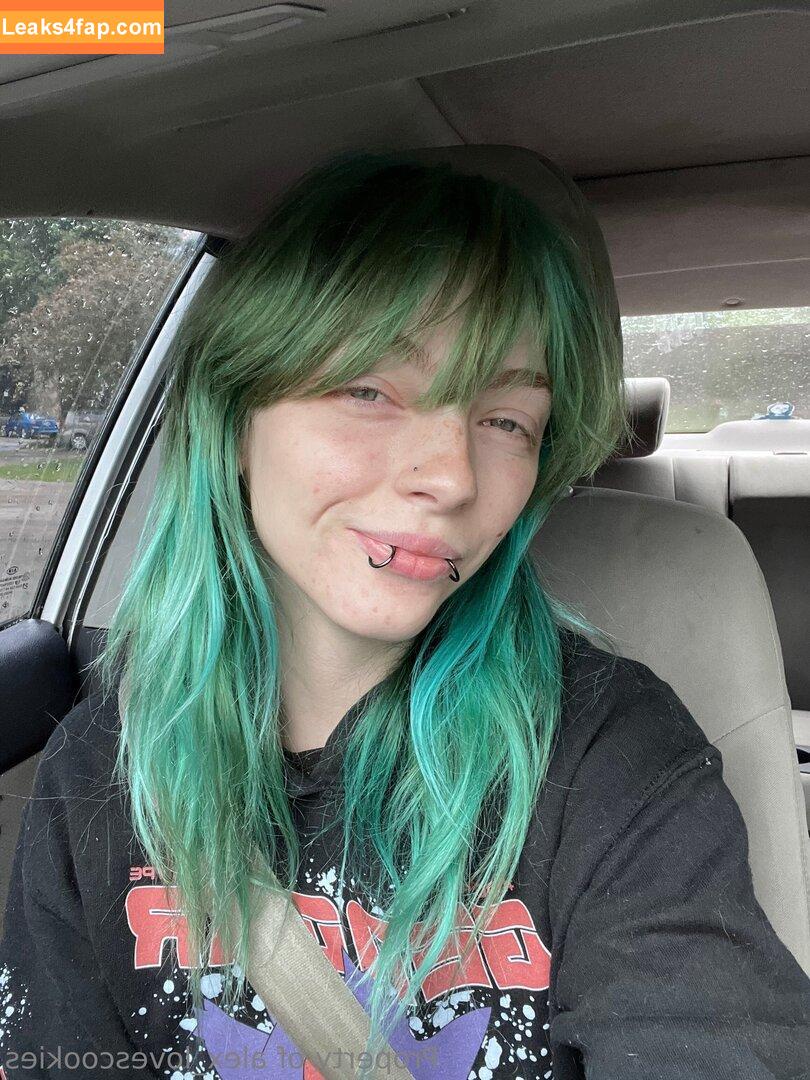 alex_lovescookies / alexlovelies leaked photo photo #0045