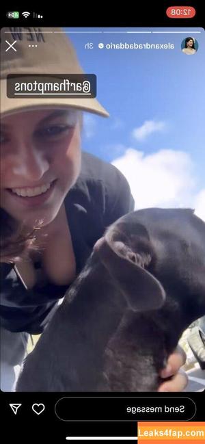 Alexandra Daddario фото #0982