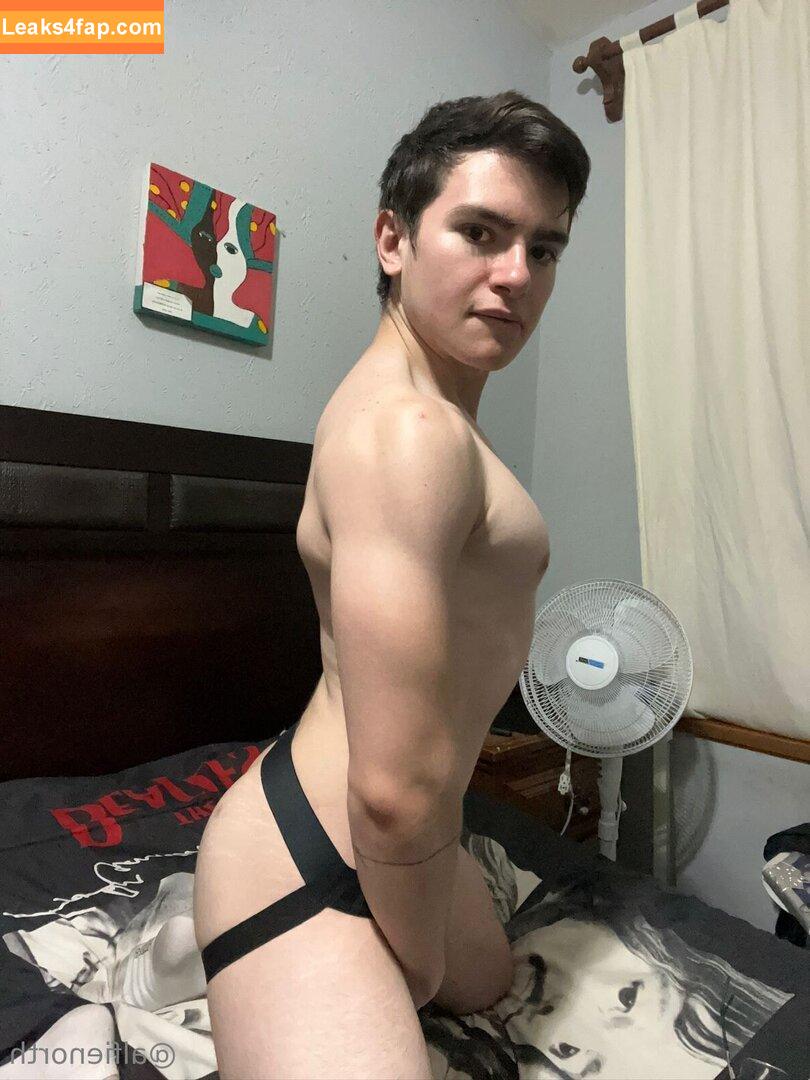 alfienorthfree / alfienorth leaked photo photo #0139