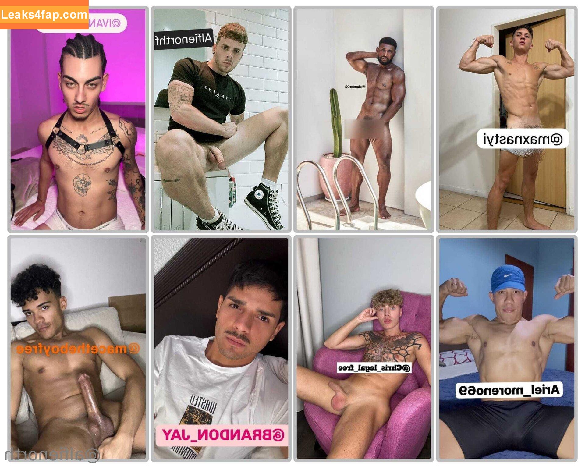 alfienorthfree / alfienorth leaked photo photo #0169