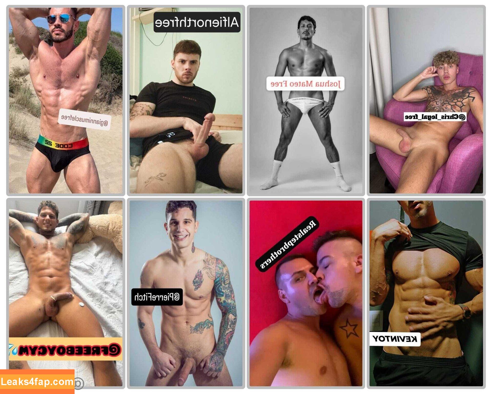 alfienorthfree / alfienorth leaked photo photo #0170