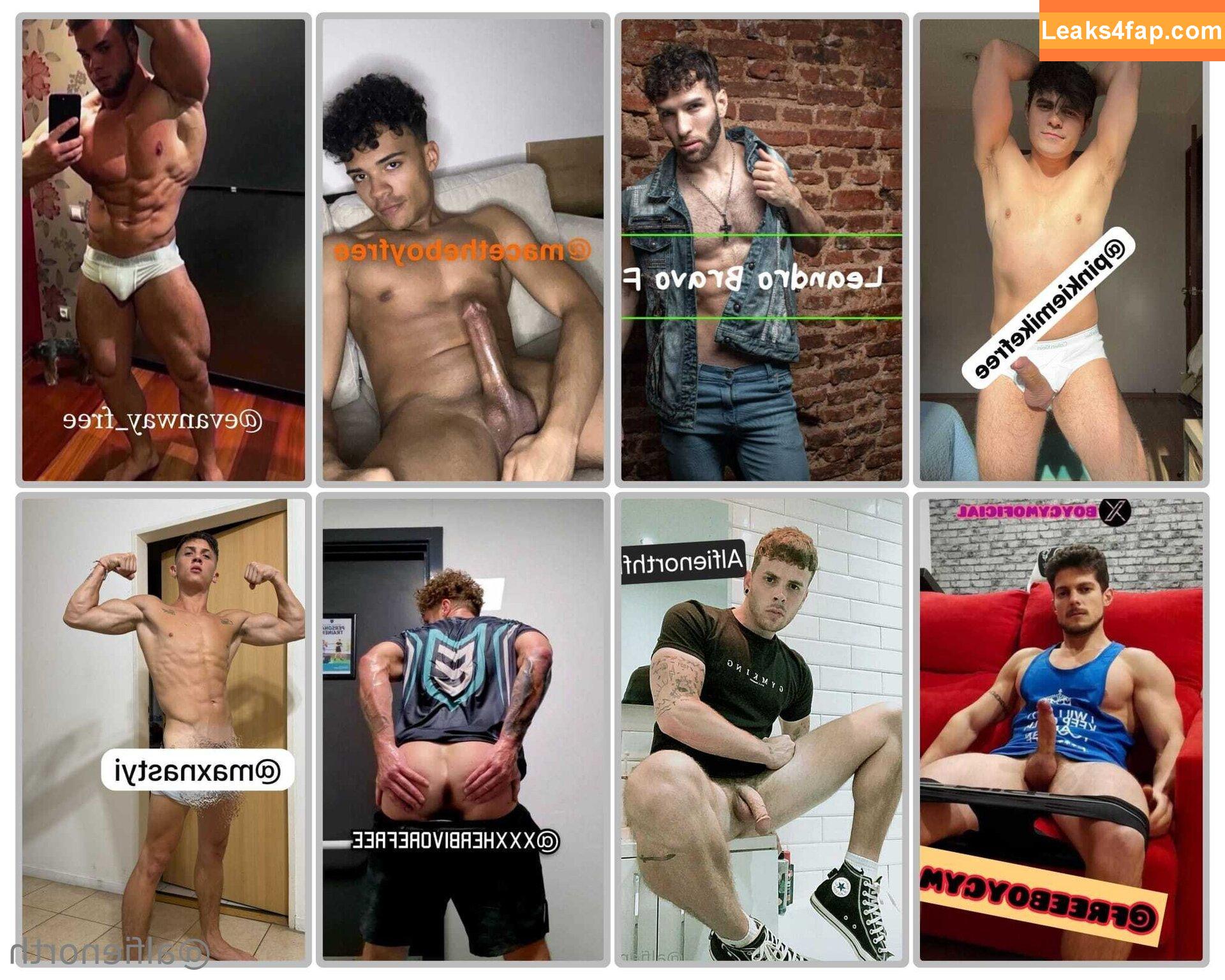 alfienorthfree / alfienorth leaked photo photo #0172