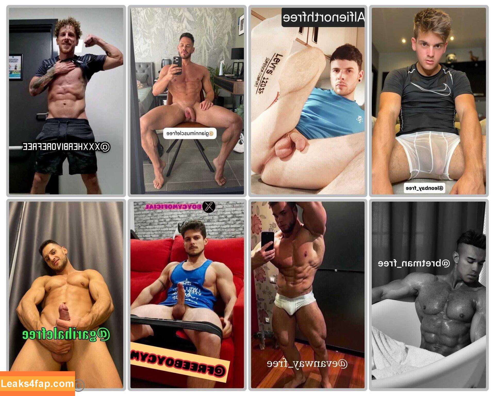 alfienorthfree / alfienorth leaked photo photo #0173