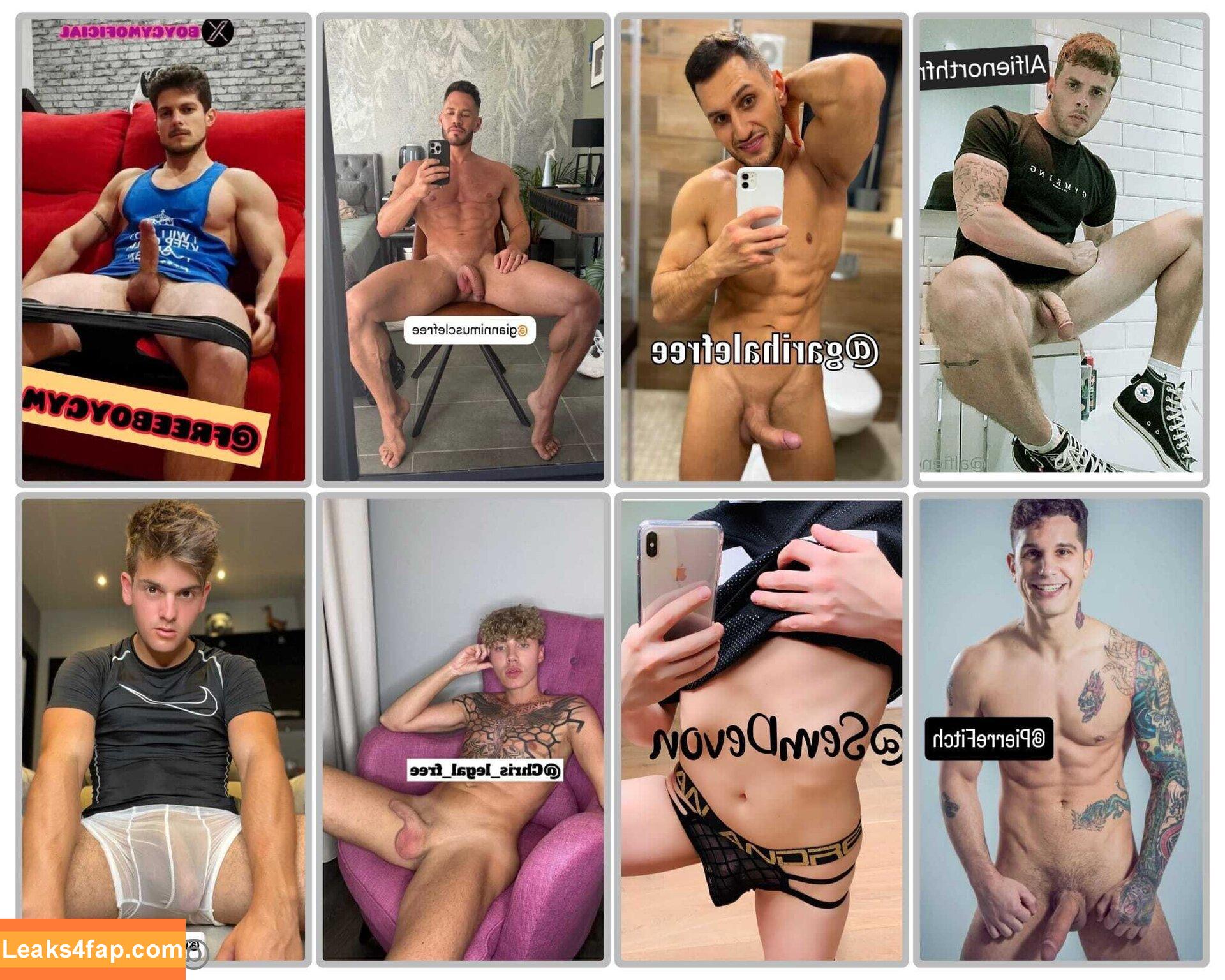 alfienorthfree / alfienorth leaked photo photo #0176