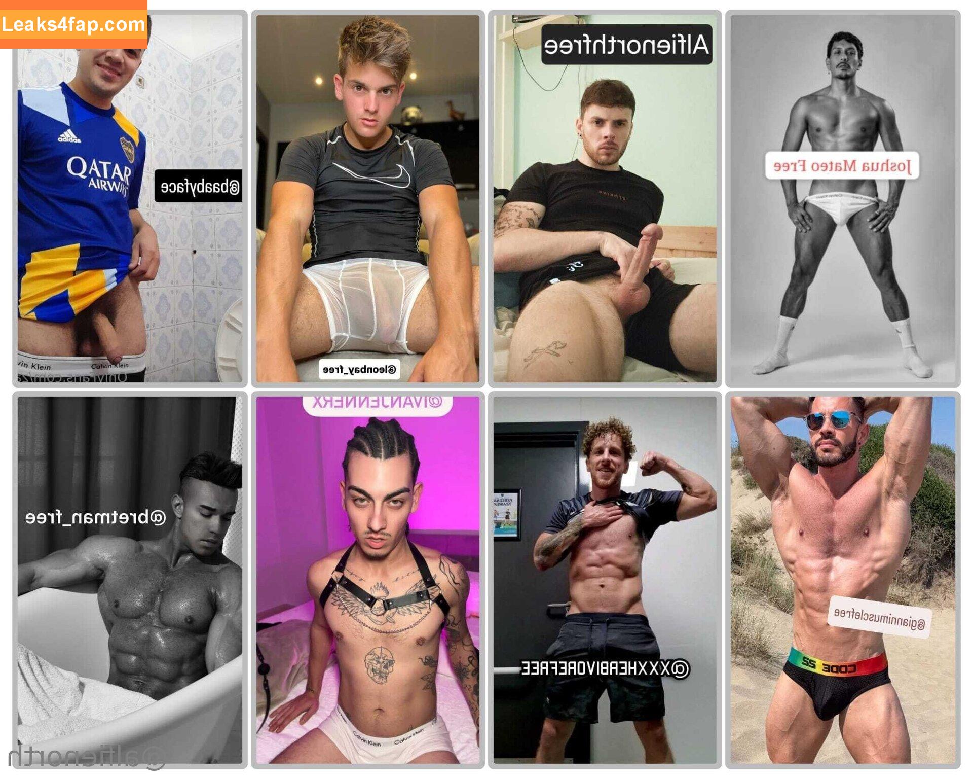 alfienorthfree / alfienorth leaked photo photo #0177