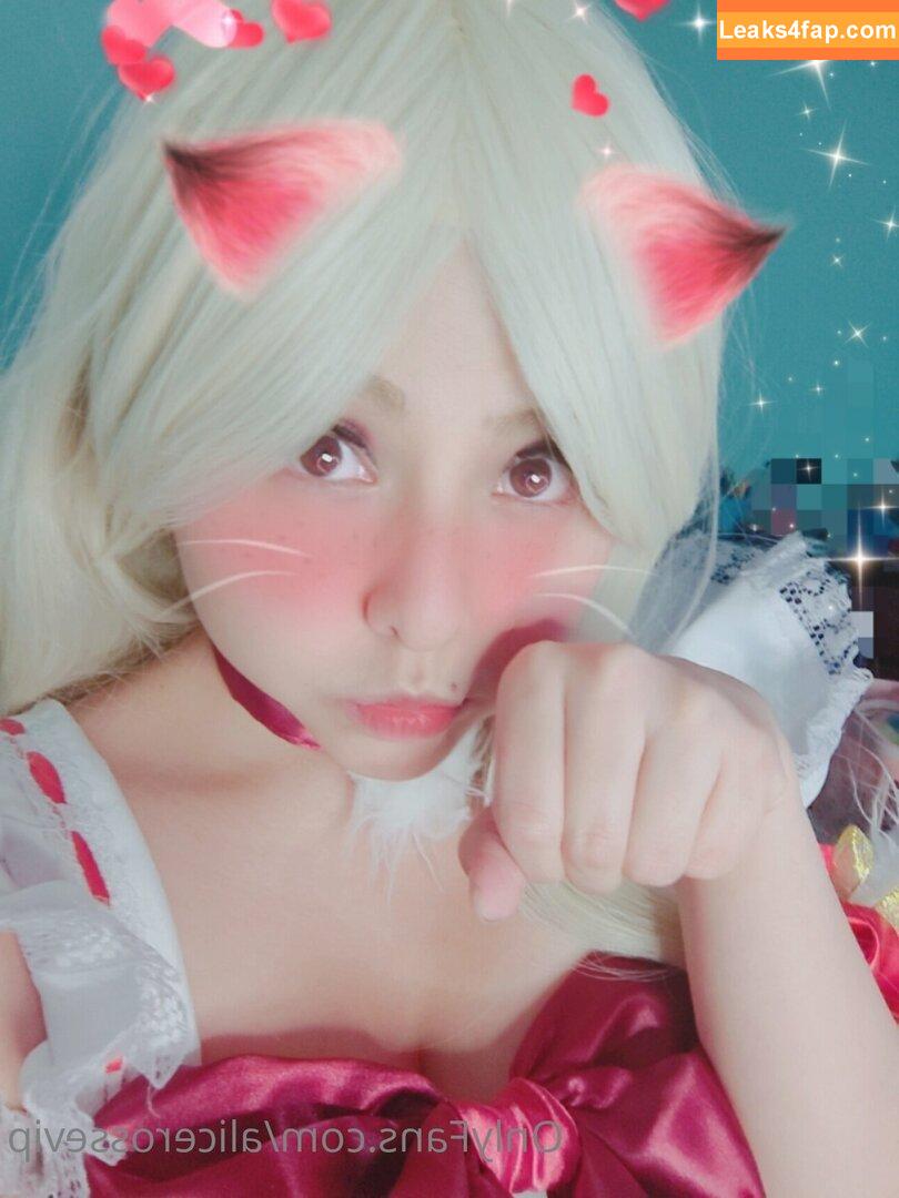 alicerossevip / alice.evis leaked photo photo #0003
