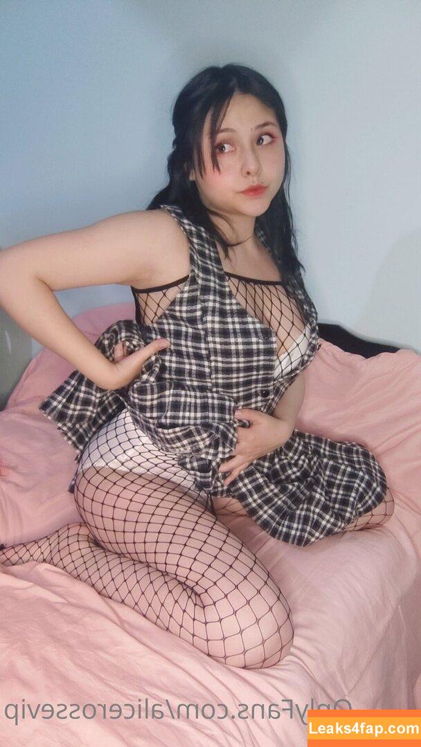 alicerossevip / alice.evis leaked photo photo #0007