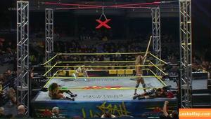 Alisha Edwards photo #0242