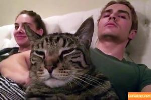 Alison Brie photo #0046