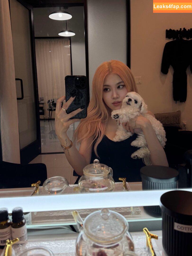 Allissa Shin / allissashin leaked photo photo #0103