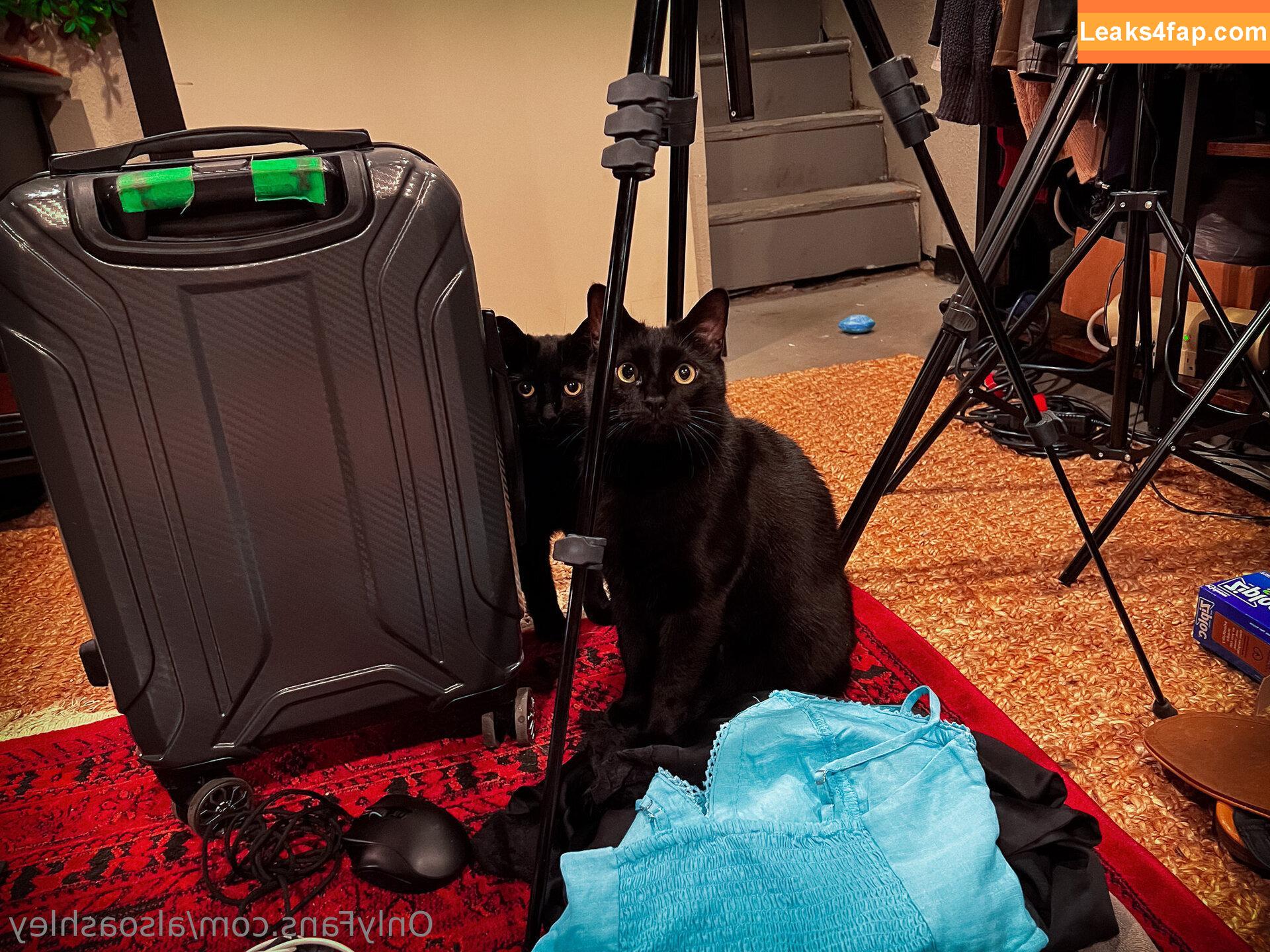 AlsoAshley / AlsoAshleyB / Ashely Barron leaked photo photo #0518