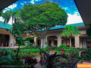 AlsoAshley photo #0193