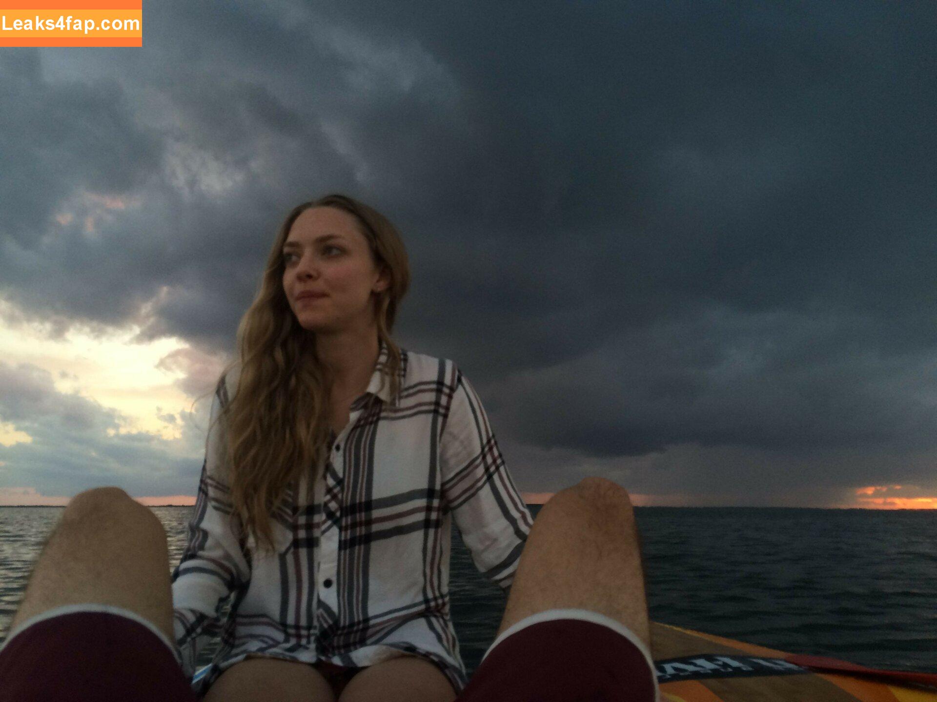 Amanda Seyfried / AmandaSeyfried / mingey слитое фото фото #0012