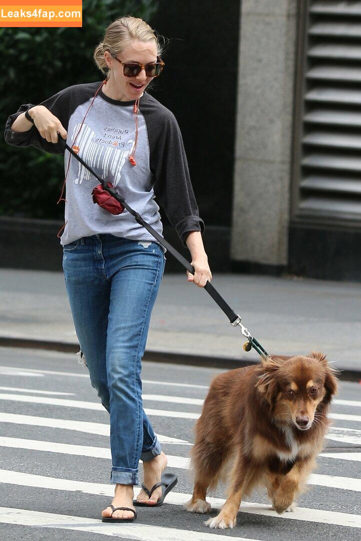 Amanda Seyfried / AmandaSeyfried / mingey leaked photo photo #0105