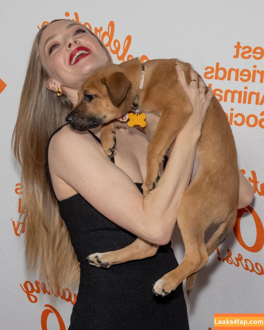 Amanda Seyfried / AmandaSeyfried / mingey leaked photo photo #0460
