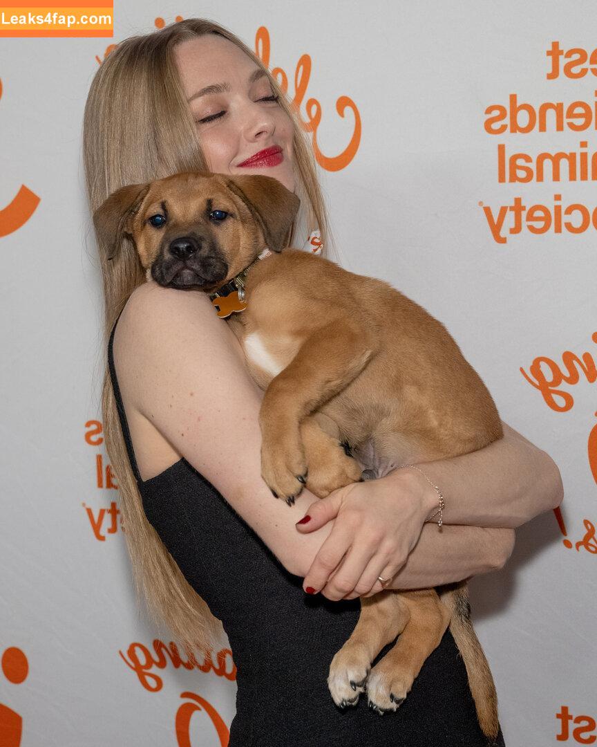 Amanda Seyfried / AmandaSeyfried / mingey leaked photo photo #0461