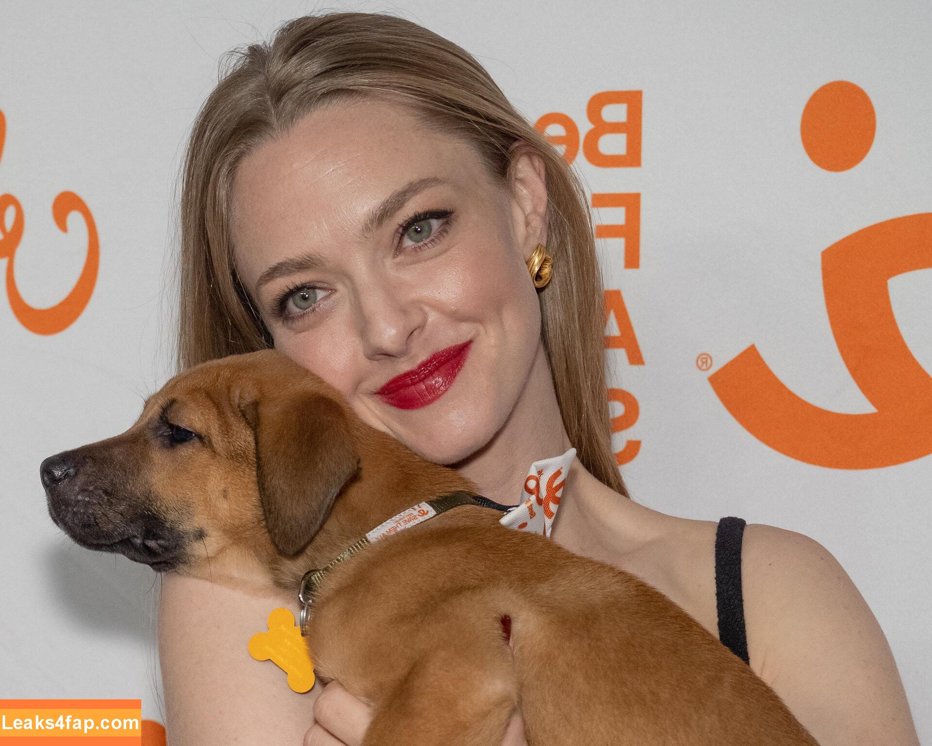Amanda Seyfried / AmandaSeyfried / mingey leaked photo photo #0462