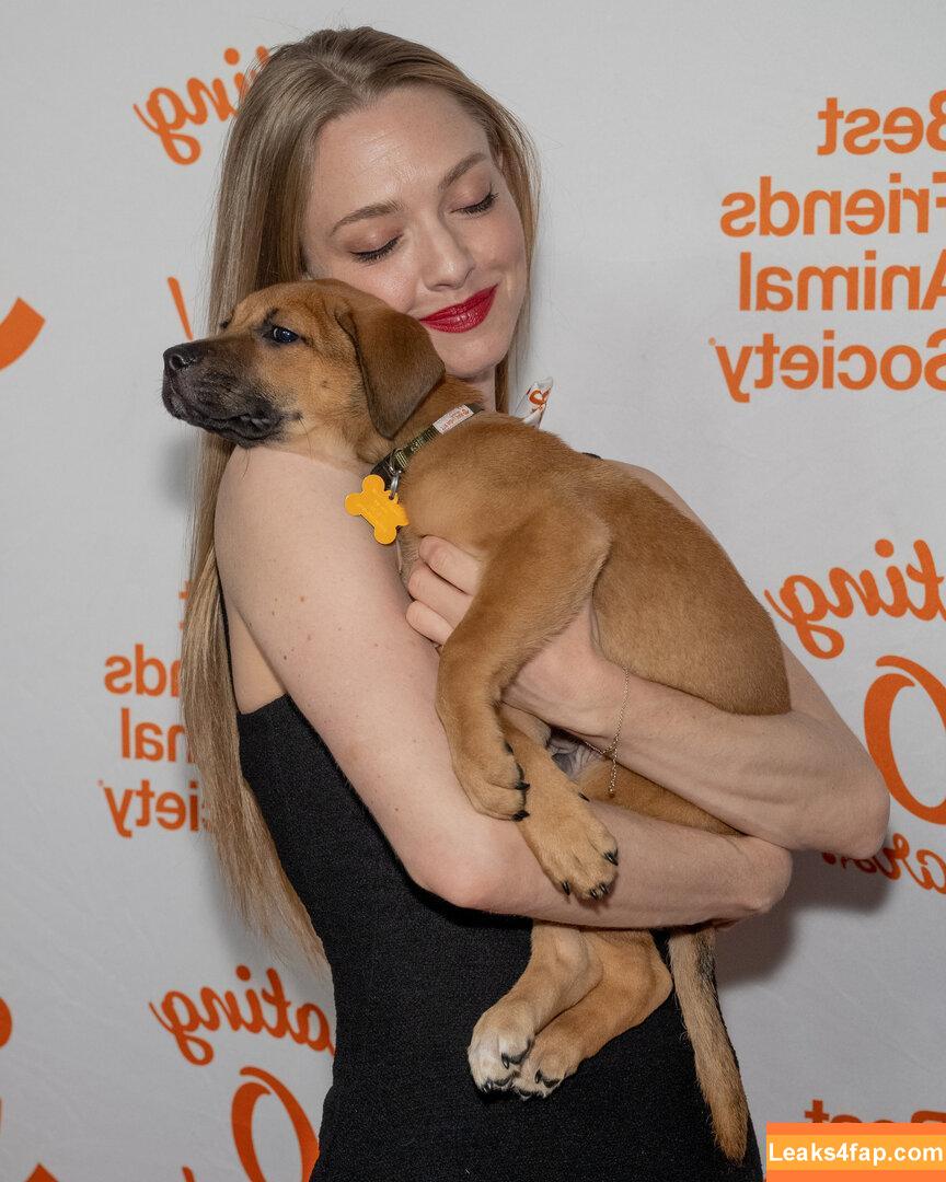 Amanda Seyfried / AmandaSeyfried / mingey leaked photo photo #0463