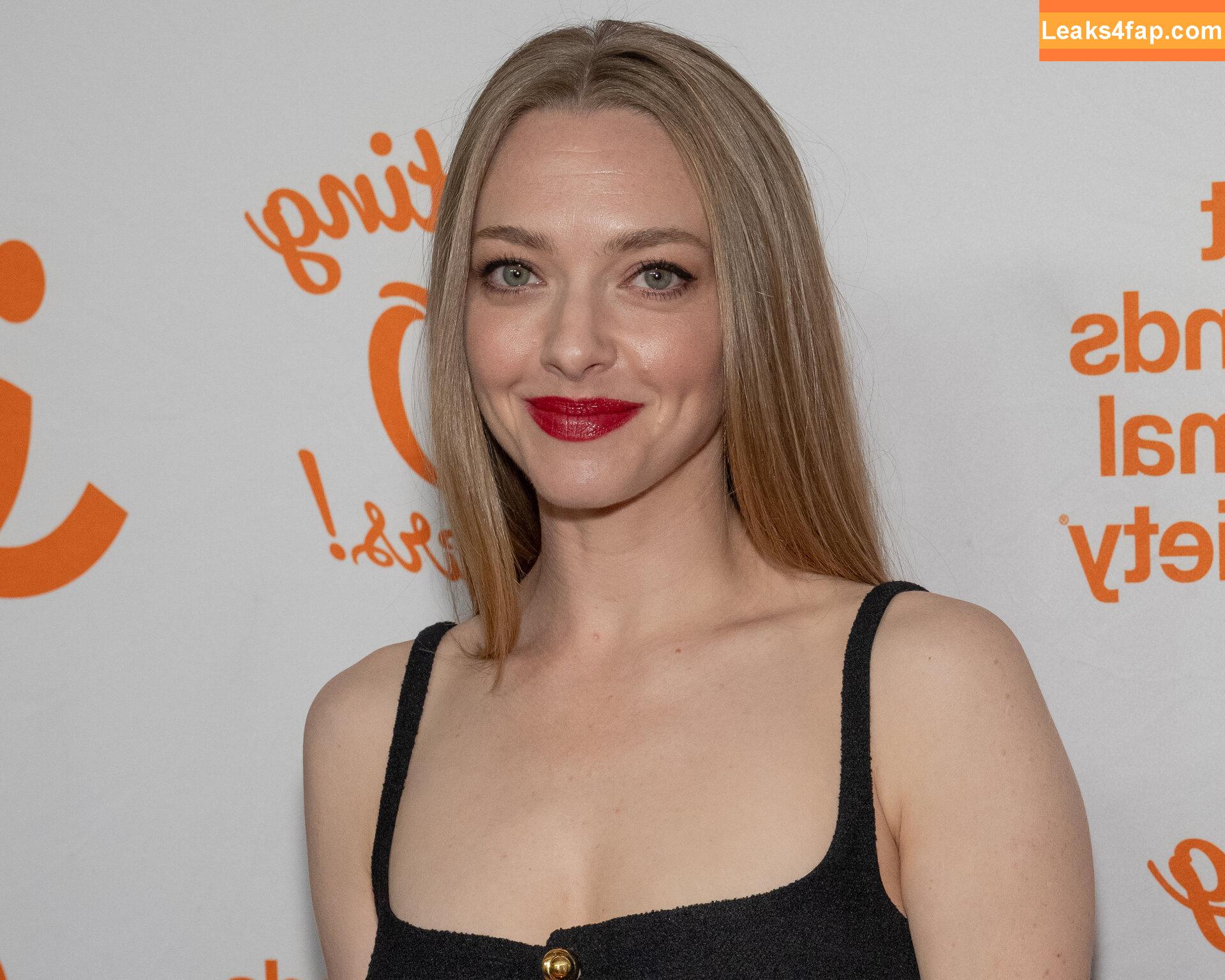 Amanda Seyfried / AmandaSeyfried / mingey leaked photo photo #0465