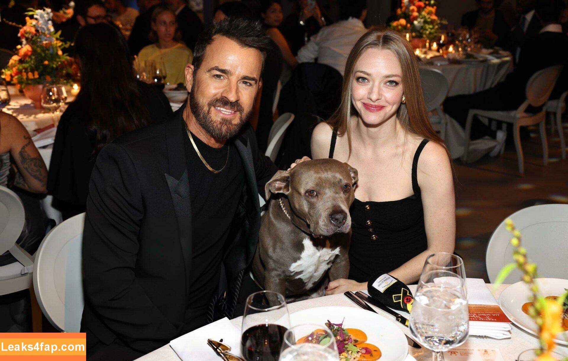 Amanda Seyfried / AmandaSeyfried / mingey leaked photo photo #0467