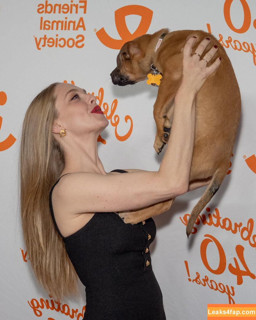 Amanda Seyfried / AmandaSeyfried / mingey leaked photo photo #0471