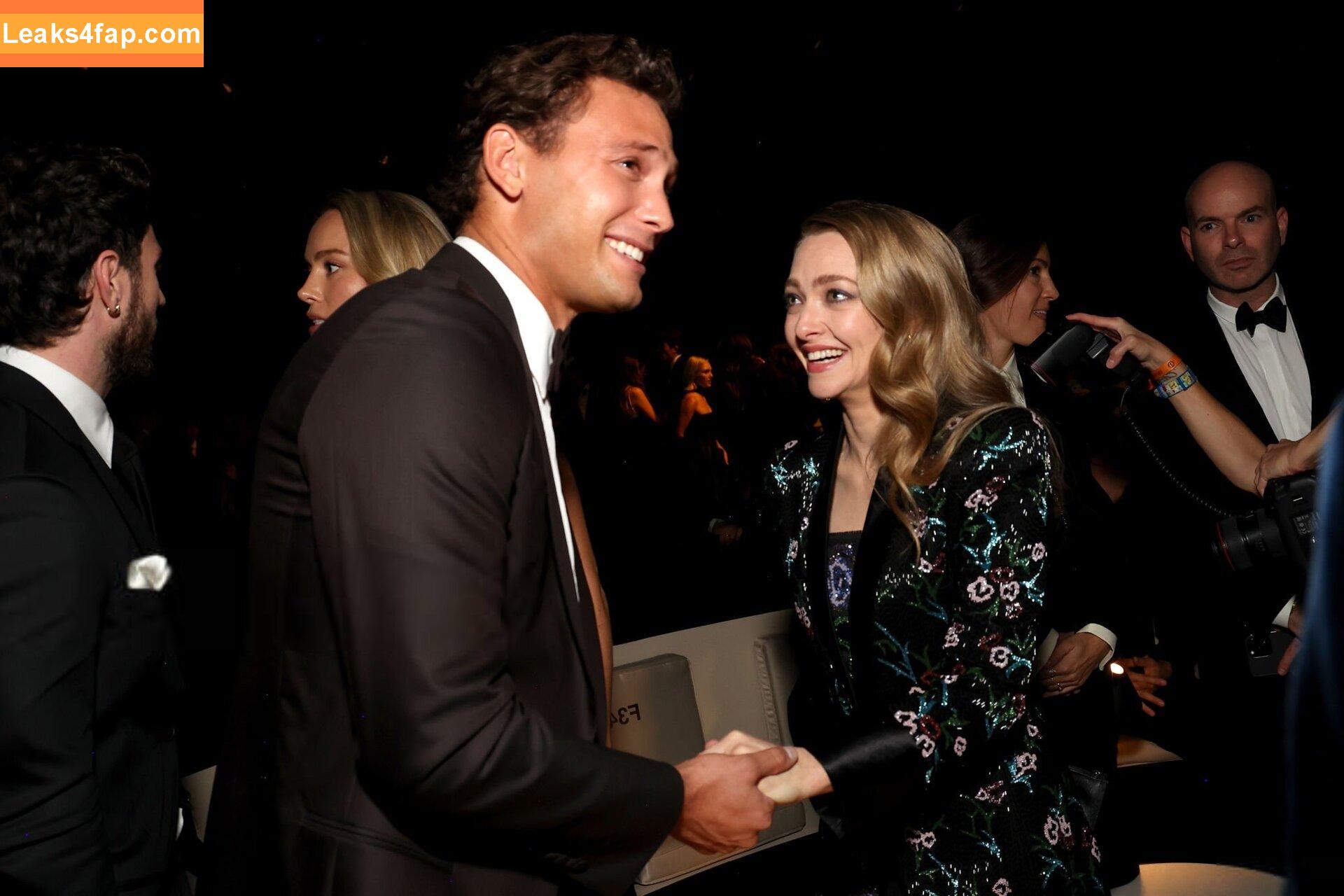 Amanda Seyfried / AmandaSeyfried / mingey leaked photo photo #0494