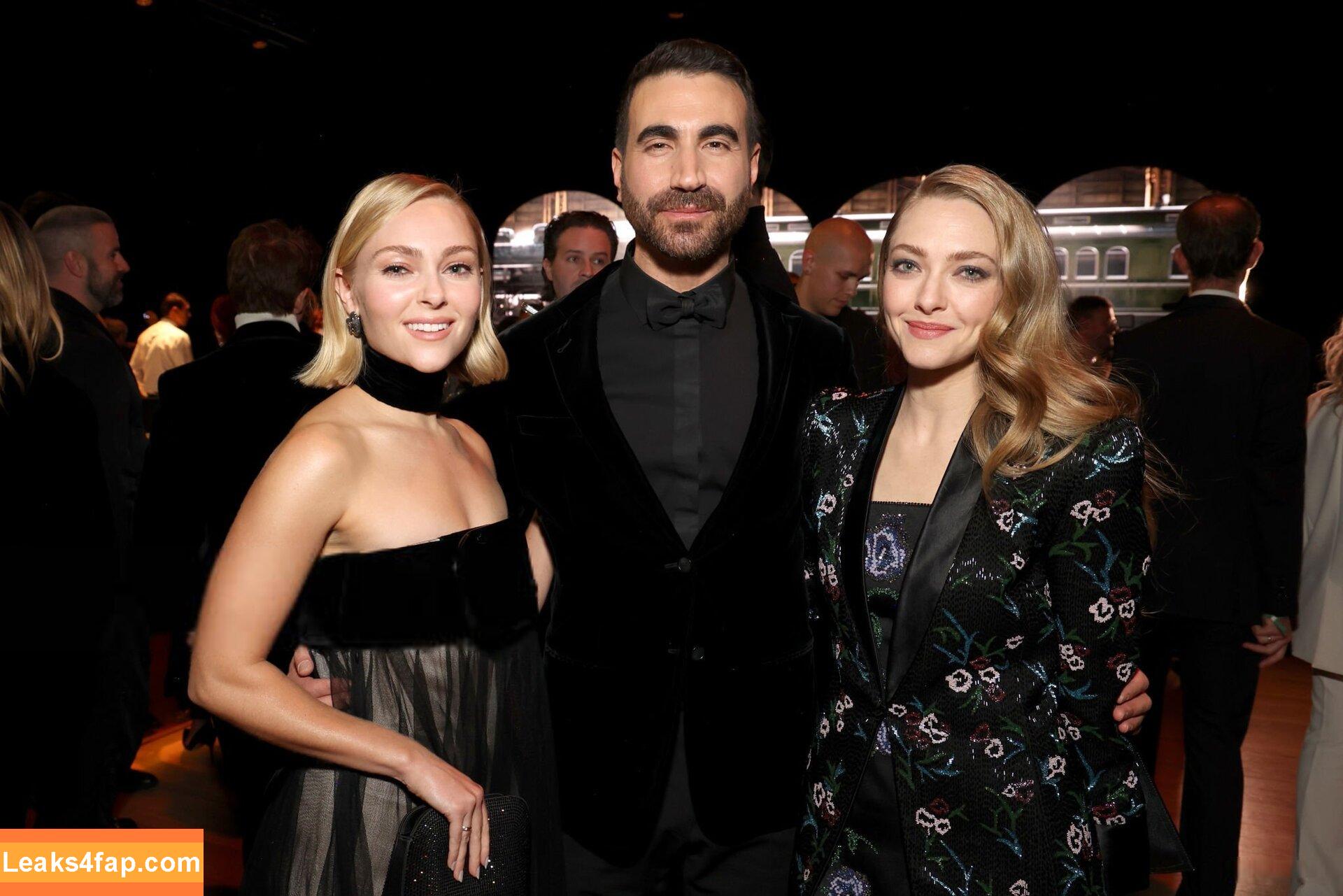Amanda Seyfried / AmandaSeyfried / mingey leaked photo photo #0495