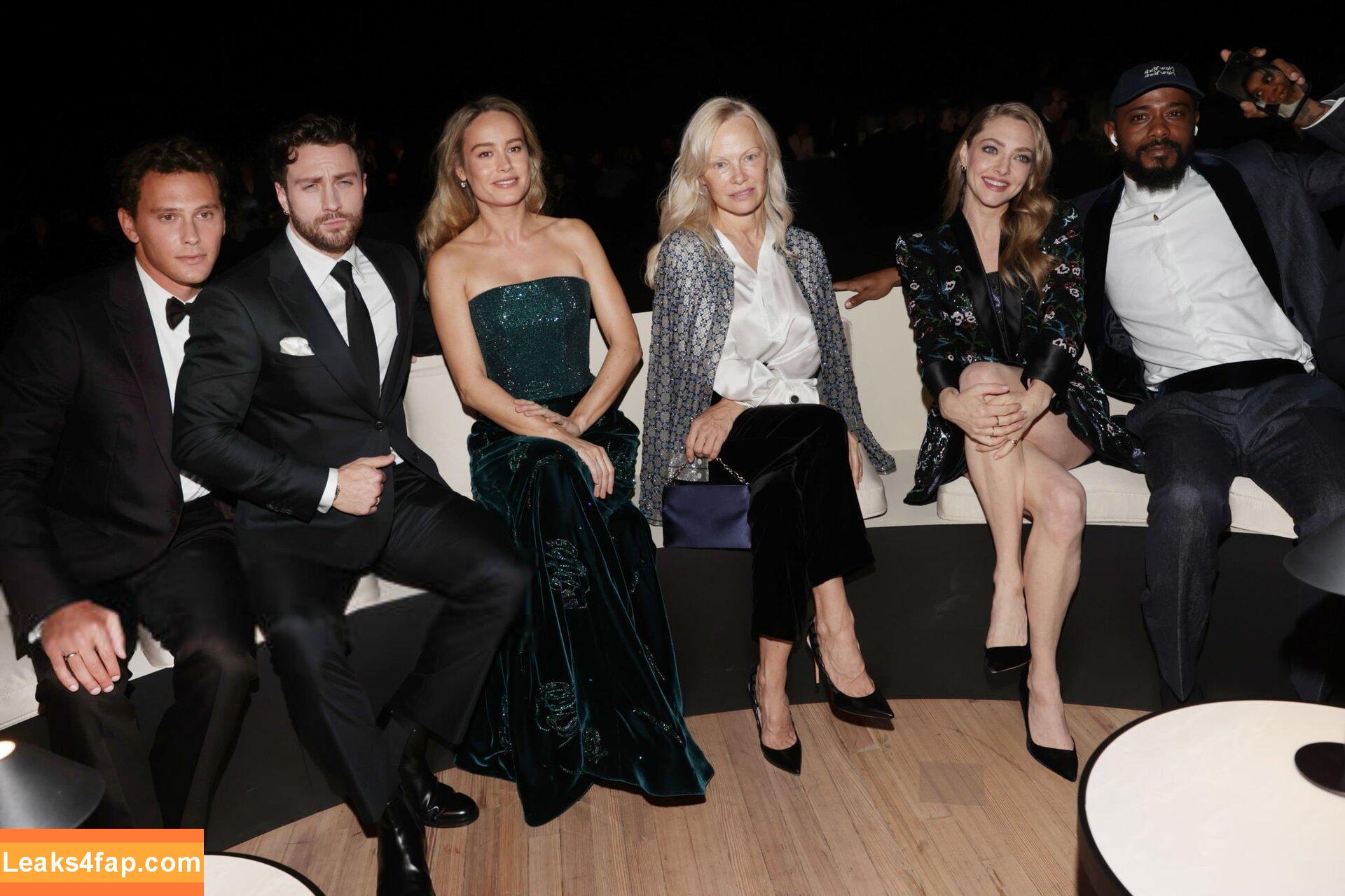 Amanda Seyfried / AmandaSeyfried / mingey leaked photo photo #0498