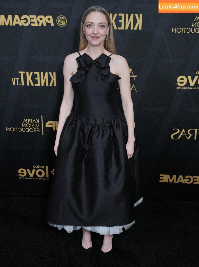 Amanda Seyfried / AmandaSeyfried / mingey leaked photo photo #0842