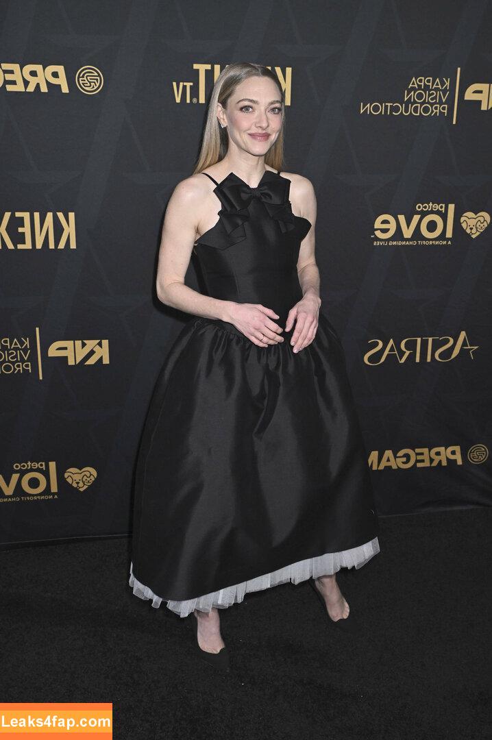 Amanda Seyfried / AmandaSeyfried / mingey leaked photo photo #0854