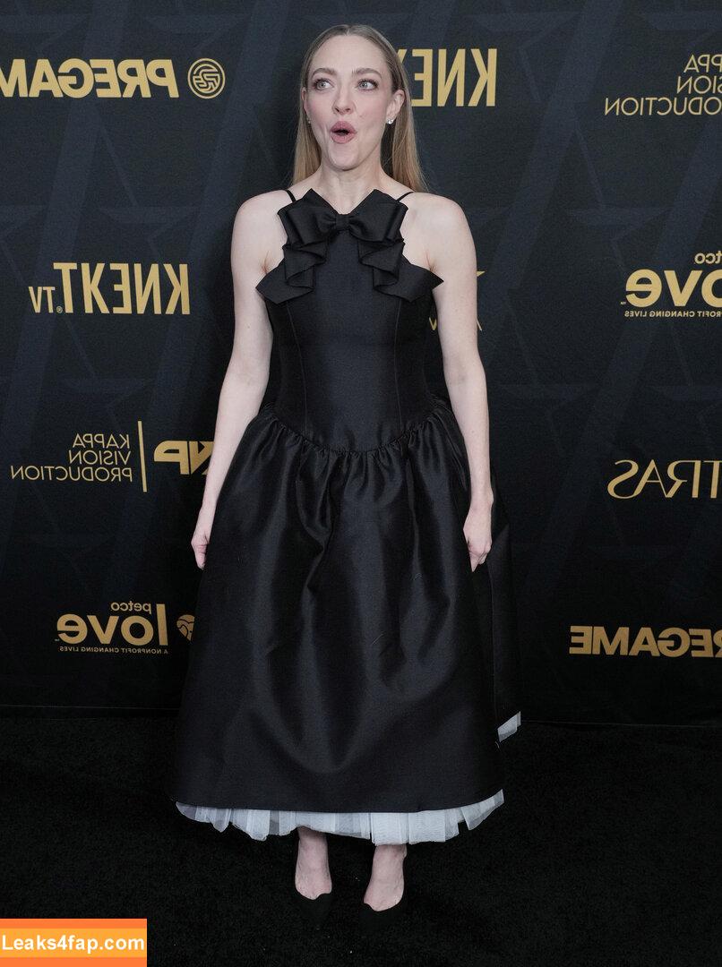 Amanda Seyfried / AmandaSeyfried / mingey leaked photo photo #0857