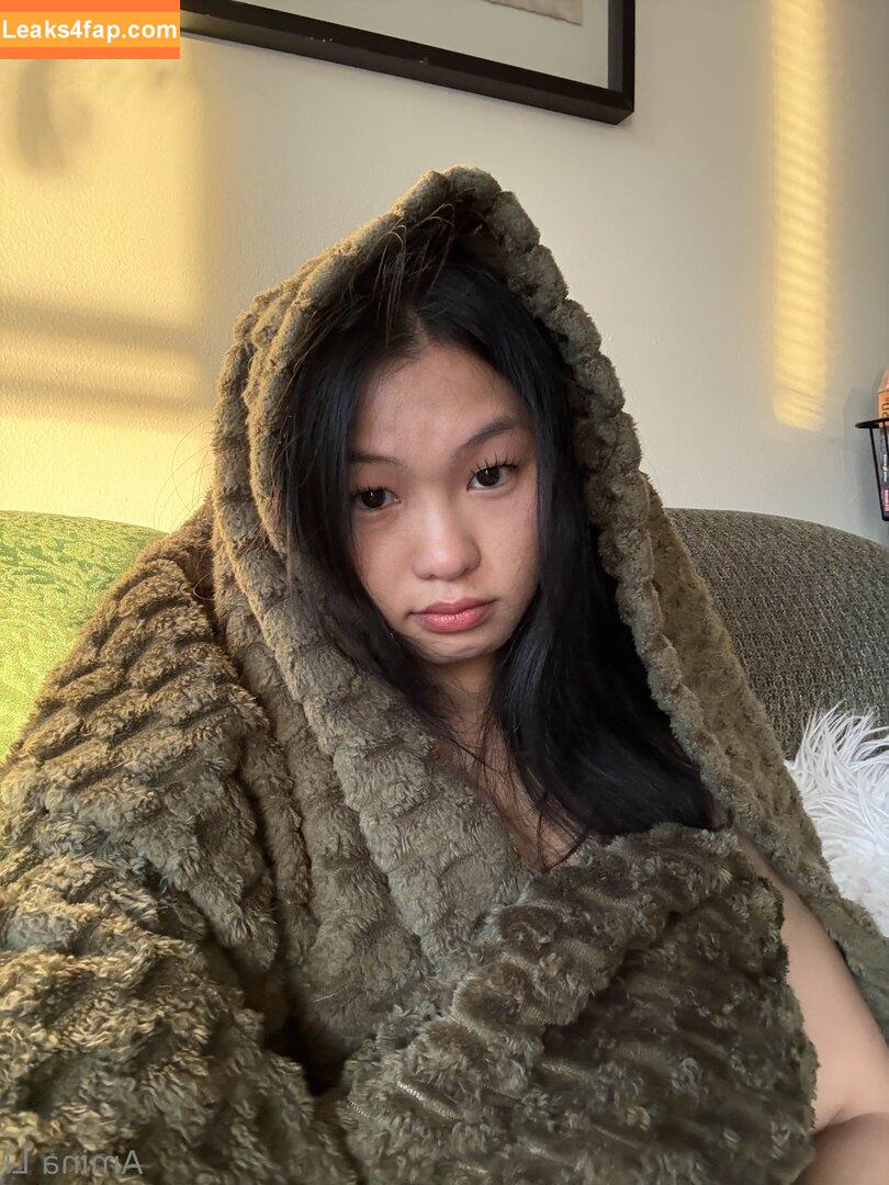 Amina Li / peachystrudel / realaminali leaked photo photo #0042