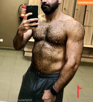 amir_hairyalpha photo #0017