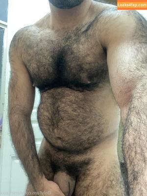 amir_hairyalpha photo #0031