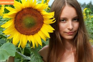 AmourAngels фото #1419