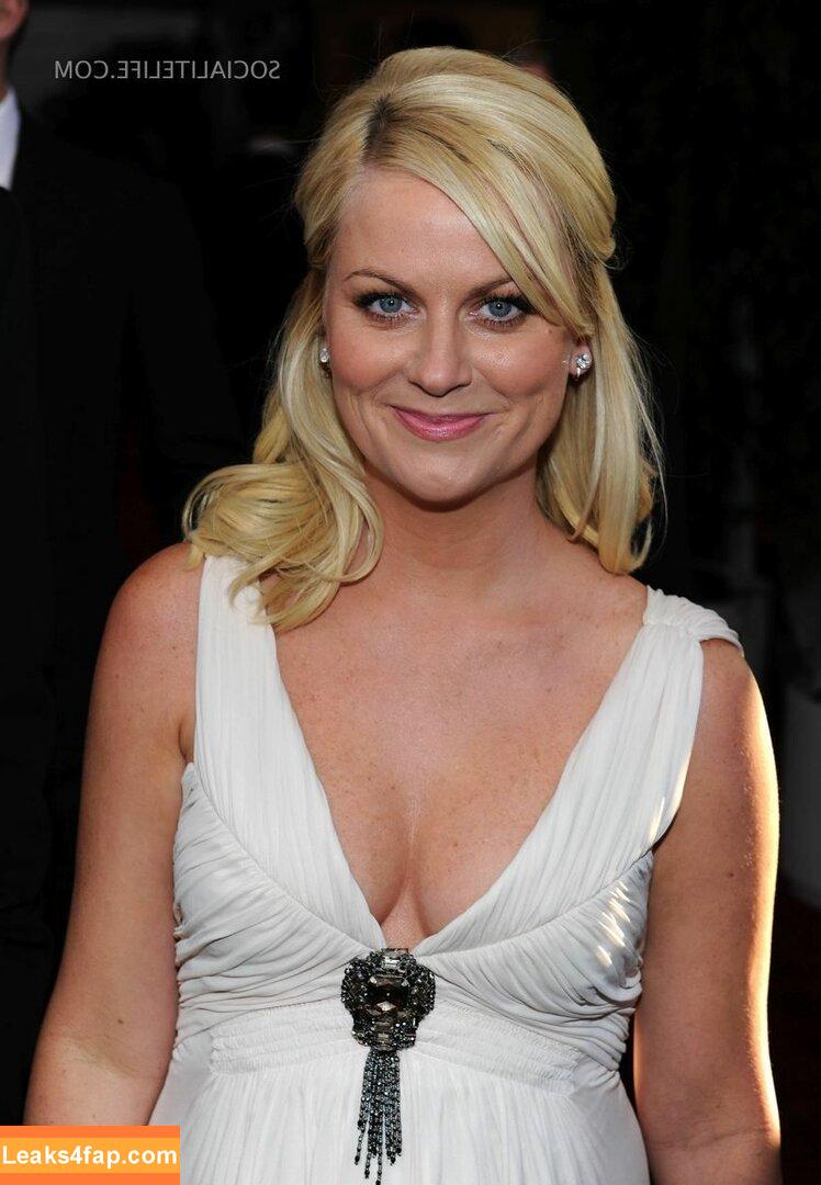 Amy Poehler / amypohler слитое фото фото #0015