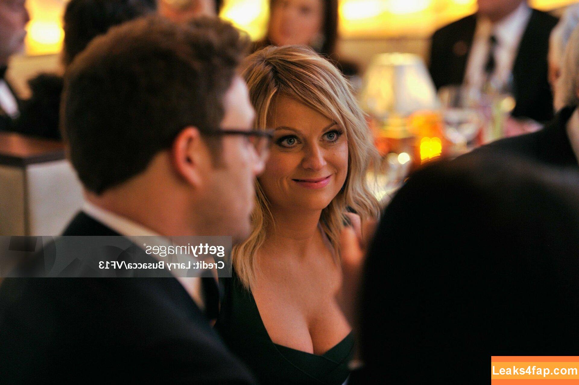 Amy Poehler / amypohler leaked photo photo #0020