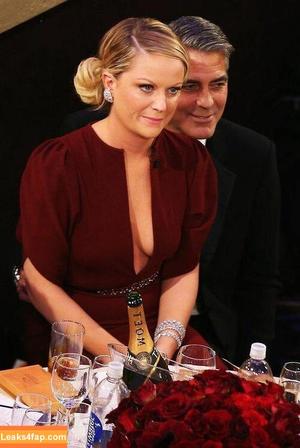 Amy Poehler photo #0003